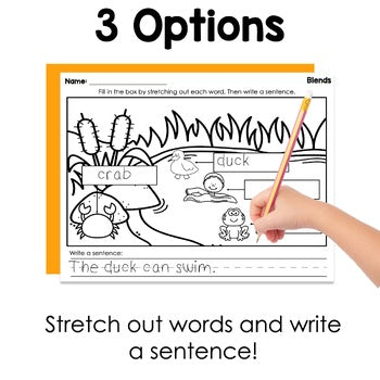 Blends and Digraphs Labeling Practice Pages | Phonics