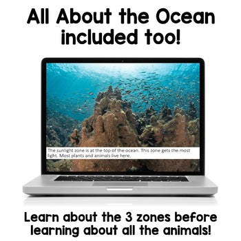 Ocean Animals PowerPoints | Facts | Slides