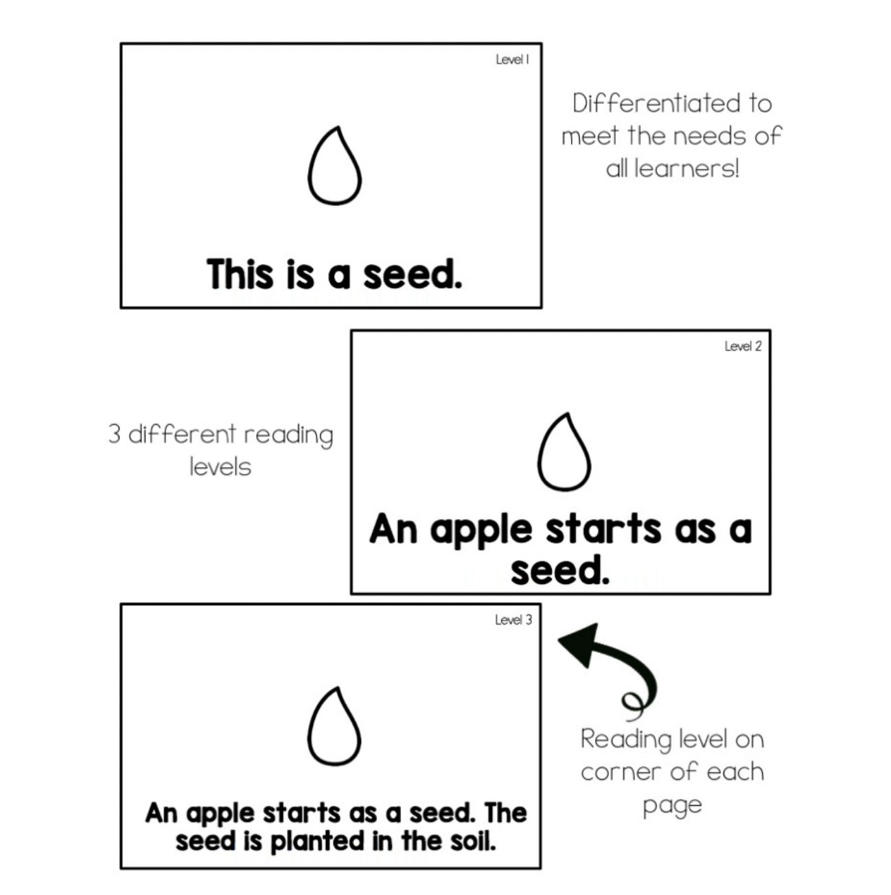 Apple Life Cycle | Emergent Reader | Apples