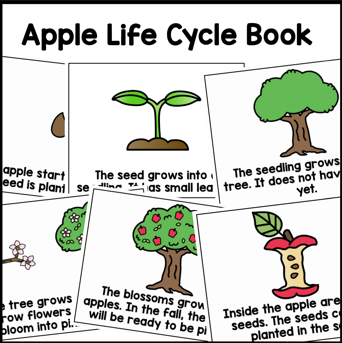Apple Tree Life Cycle Sequencing | Book | Poster | Printable