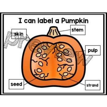 I can Label a Pumpkin | Pumpkin Parts