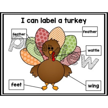 I can Label a Turkey | Parts of a Turkey