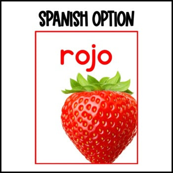 Nonfiction Color Posters | Real Pictures | English AND Spanish