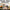 Flower Shop Dramatic Play | Real Pictures