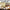 Ice Cream Shop Dramatic Play | Real Pictures