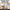 Pumpkin Patch Dramatic Play | Real Pictures