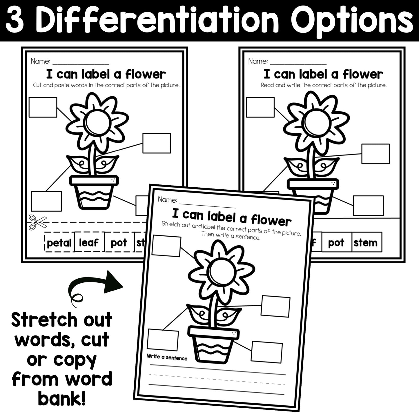 Monthly Labeling Practice Pages Bundle
