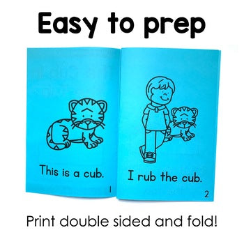 Short U Decodable Books | Word Families