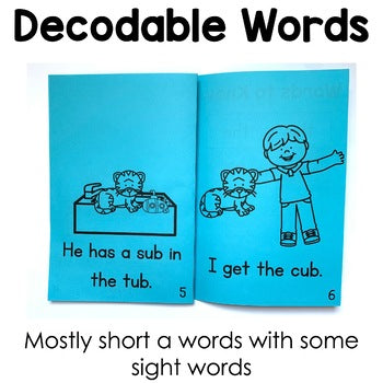 Short U Decodable Books | Word Families