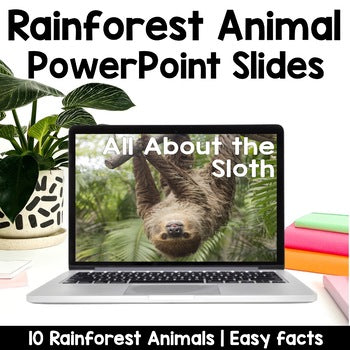 Rainforest Animals PowerPoints | Facts | Slides