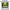 Rainforest Animals PowerPoints | Facts | Slides