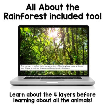 Rainforest Animals PowerPoints | Facts | Slides
