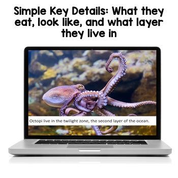 Ocean Animals PowerPoints | Facts | Slides