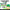 Leprechaun Craft | Bulletin Board | St Patricks Day | March