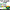 Pot of Gold Craft | Bulletin Board | St Patricks Day | March