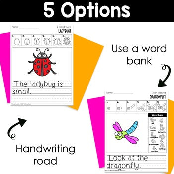 May Directed Drawings | Cinco de Mayo | Insects