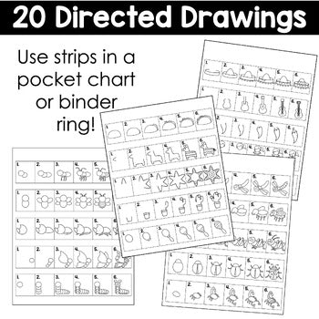 May Directed Drawings | Cinco de Mayo | Insects