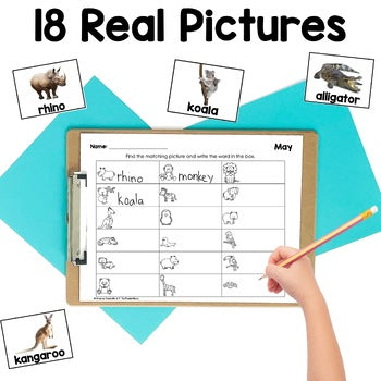 May Write the Room | Real Pictures