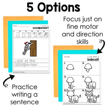 Forest Animals Directed Drawings | Woodland