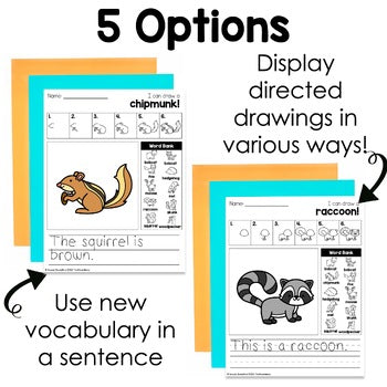 Forest Animals Directed Drawings | Woodland