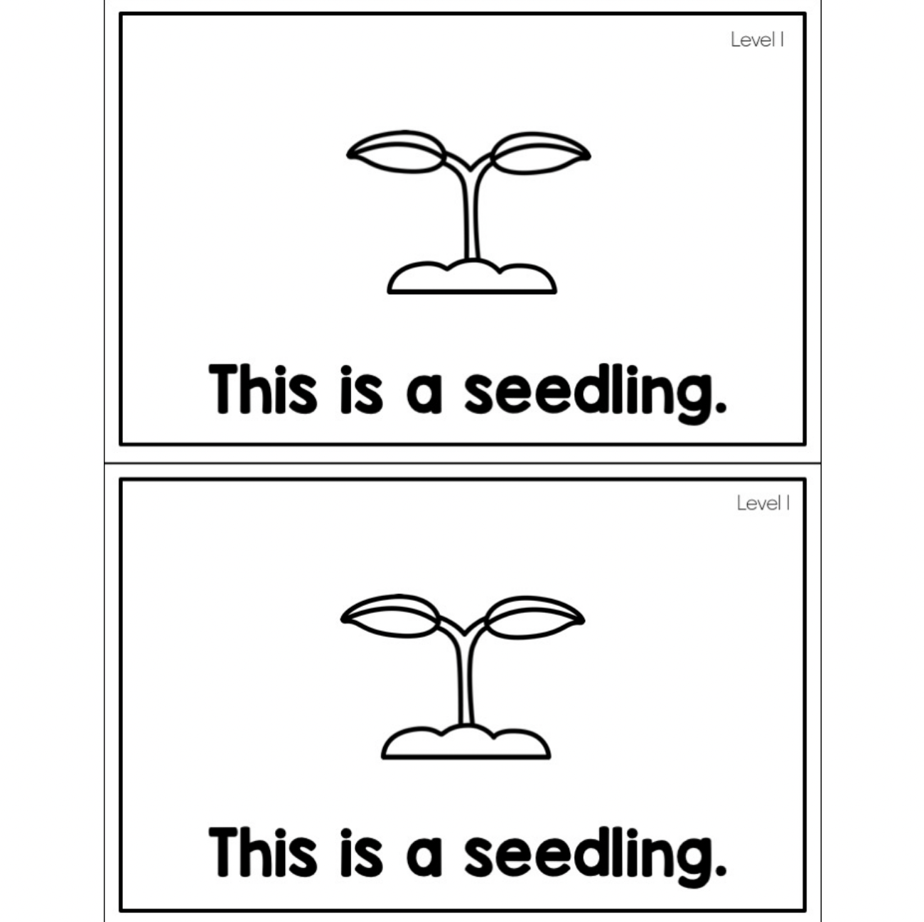 Apple Life Cycle | Emergent Reader | Apples