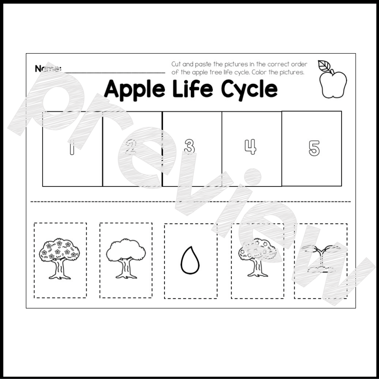 Apple Tree Life Cycle Sequencing | Book | Poster | Printable