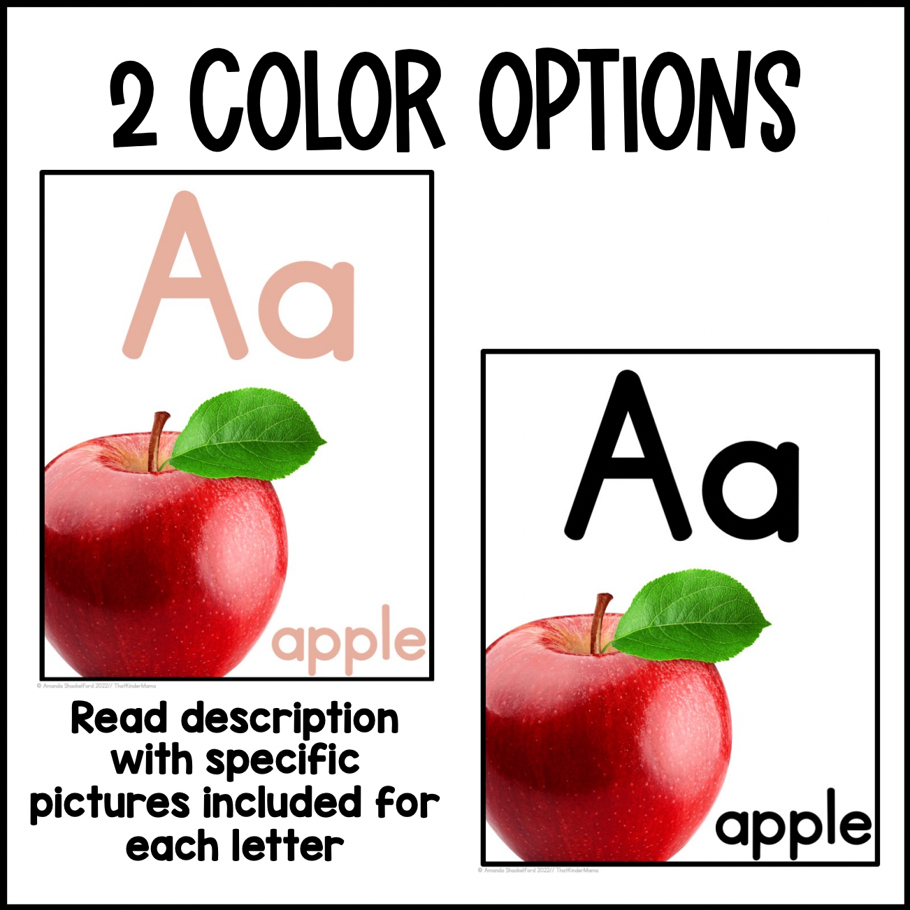 Boho Nonfiction Alphabet Poster with Real Pictures | Orton Gillingham