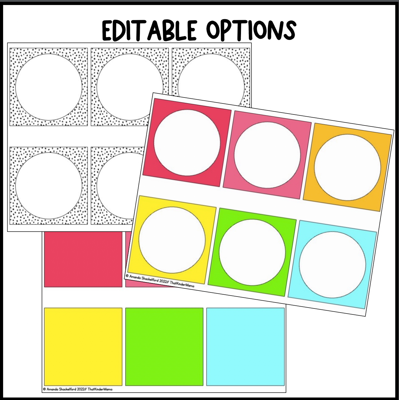 Bright Rainbow Student Book Bin Labels | Editable | Dalmatian