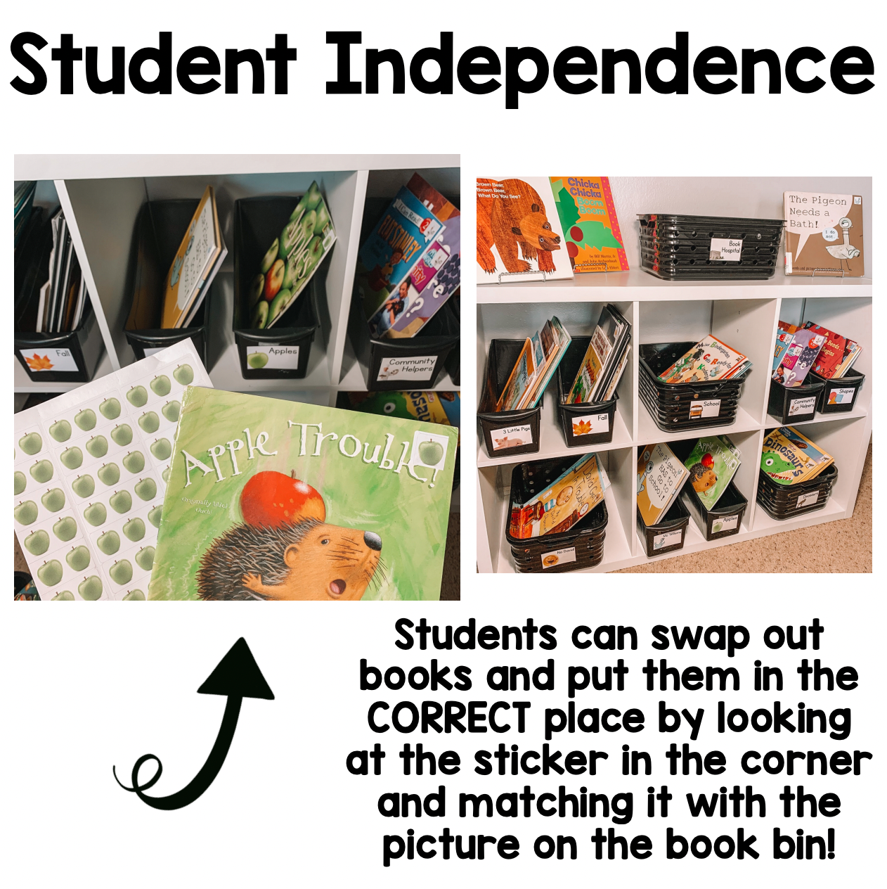 Classroom Library Labels with Real Nonfiction Pictures | Classroom Organization