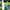 Layers of the Rainforest | Craft