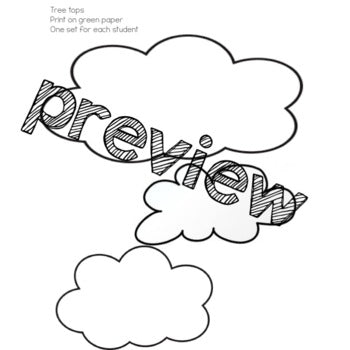 Layers of the Rainforest | Craft