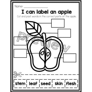I can Label an Apple | Apple Parts