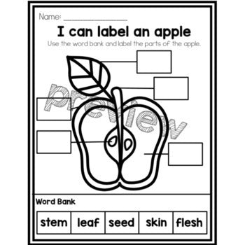 I can Label an Apple | Apple Parts