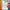 I can Label a Pumpkin | Pumpkin Parts