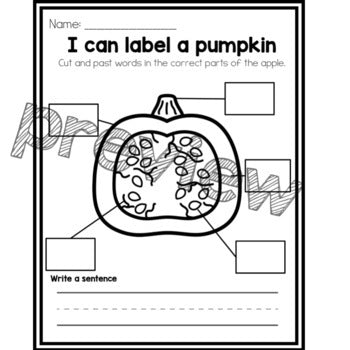I can Label a Pumpkin | Pumpkin Parts