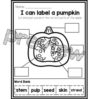I can Label a Pumpkin | Pumpkin Parts