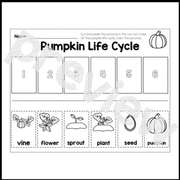 Pumpkin Life Cycle Sequencing | Book | Poster | Printable
