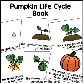 Pumpkin Life Cycle Sequencing | Book | Poster | Printable