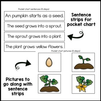 Pumpkin Life Cycle Sequencing | Book | Poster | Printable