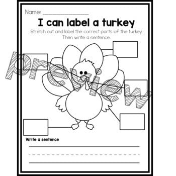 I can Label a Turkey | Parts of a Turkey