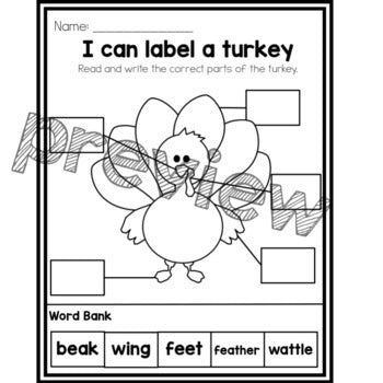 I can Label a Turkey | Parts of a Turkey