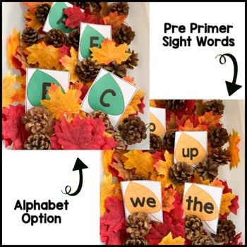September Sensory Bin | Alphabet and Sight Words Center | Editable