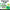 Shamrock Bulletin Board Craft | St Patricks Day | March