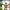 Monkey Craft | Rainforest | Zoo Animals