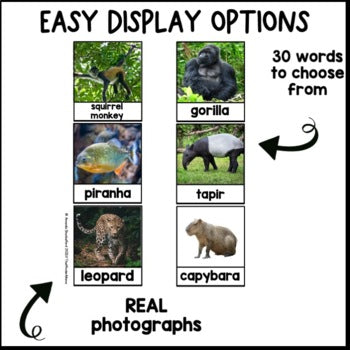 Rainforest Writing Center | Nonfiction Pictures | Real Pictures | Editable