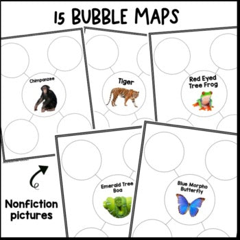 Rainforest Animals Writing | Nonfiction Unit | Main Idea Details