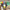 Toucan Craft | Rainforest | Zoo Animals