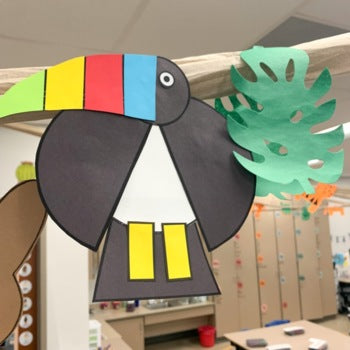 Toucan Craft | Rainforest | Zoo Animals