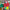 Macaw Craft | Rainforest | Zoo Animals