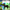 Panther Craft | Rainforest | Zoo Animals |